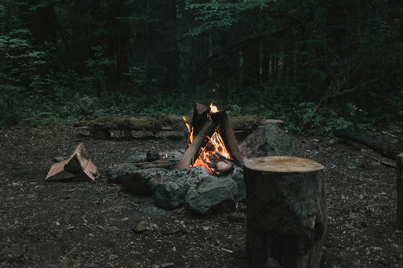 Campfire in a mossy northwest forest