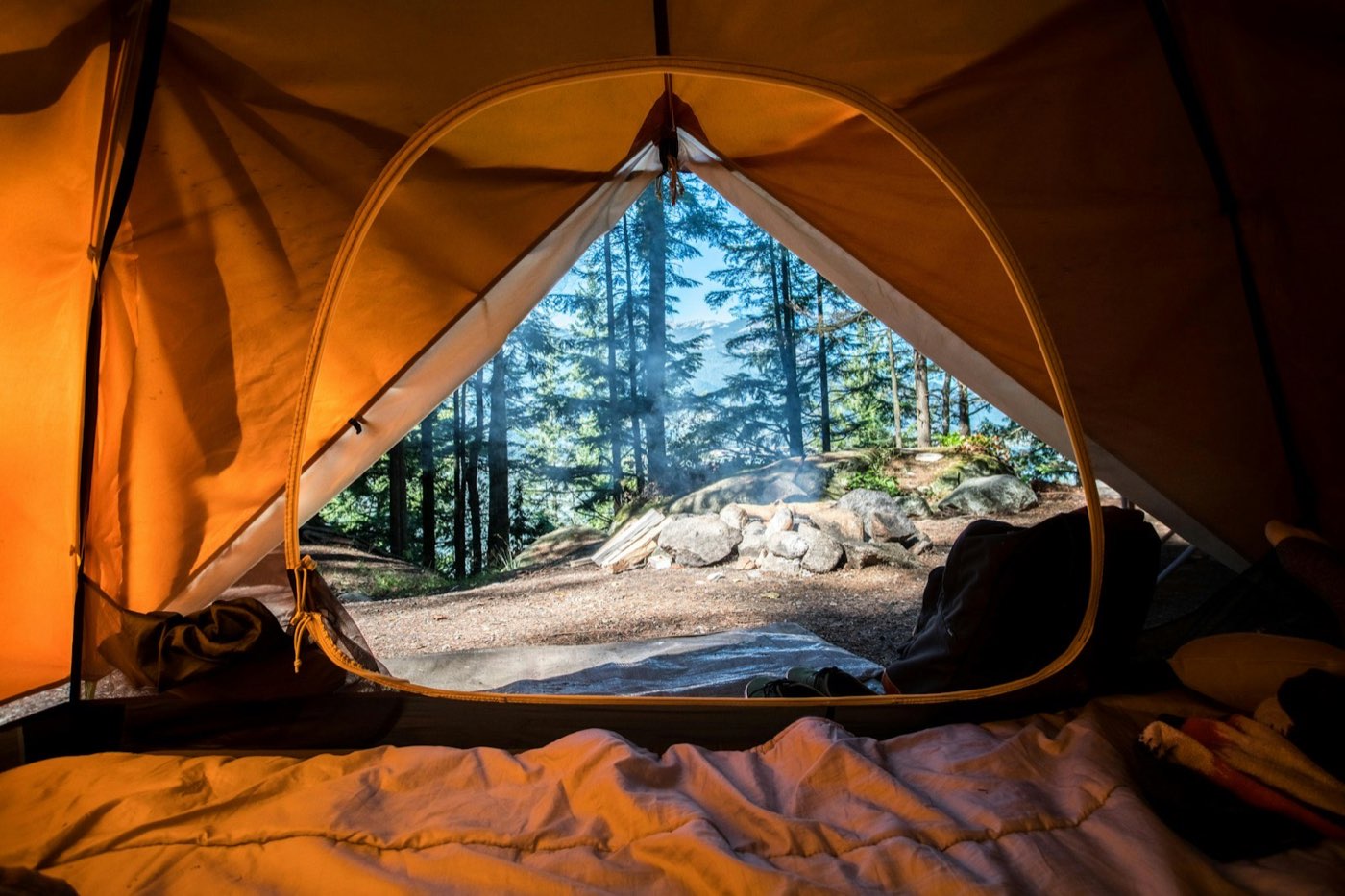 View from inside a tent toward evergreens and a campfire